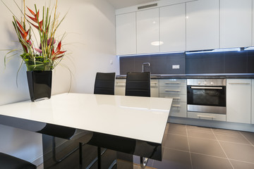 Modern kitchen interior design