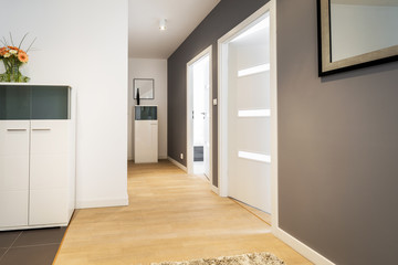 Fototapeta na wymiar Corridor in modern apartment