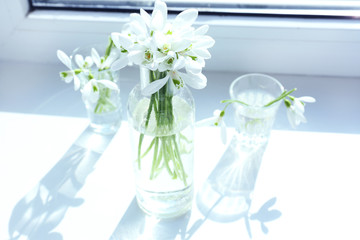 Beautiful bouquets of snowdrops in vases on windowsill