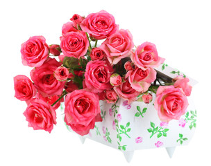 Beautiful small pink roses, isolated on white
