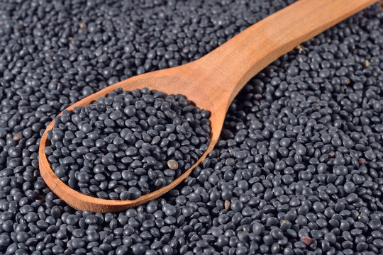 Black raw lentil in a spoon