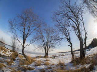 Winter landscape