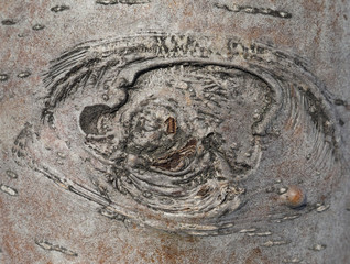 bark. background