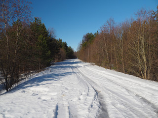 Fototapeta na wymiar road in the forest in winter