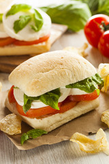 Organic Homemade Caprese Sandwich
