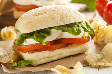 Organic Homemade Caprese Sandwich