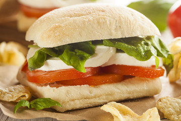 Organic Homemade Caprese Sandwich