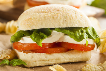 Organic Homemade Caprese Sandwich