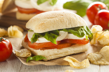 Organic Homemade Caprese Sandwich