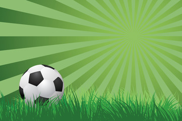 soccer ball on green grass  vector illustration