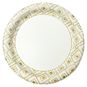 Disposable Paper Plate Over White