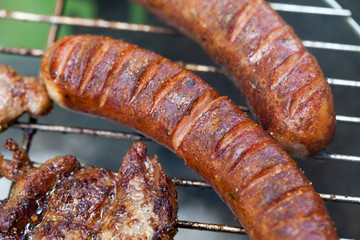 barbecue with delicious grilled meat on grill