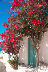 Traditional greek alley on Sifnos island, Greece - 63382866