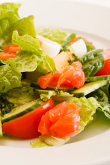 vegetable salad with egg