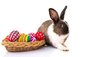 Rabbit with Easter eggs isolated on white background