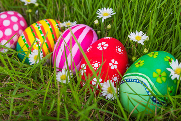 Easter Eggs on Fresh Green Grass
