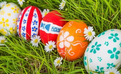 Easter Eggs on Fresh Green Grass
