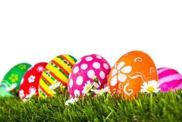 Easter Eggs with flower on Fresh Green Grass over white backgrou