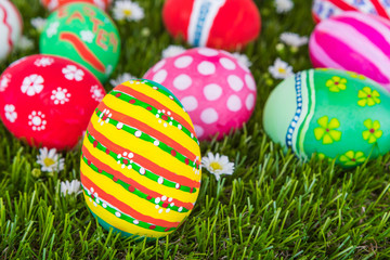 Easter Eggs on Fresh Green Grass
