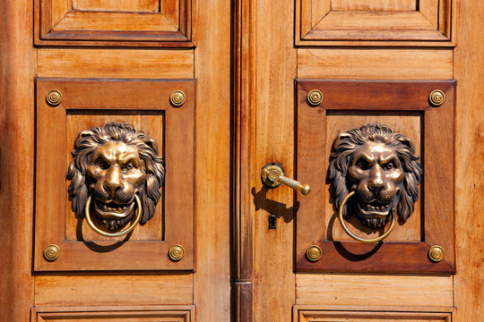 Luxury door knockers - lion heads