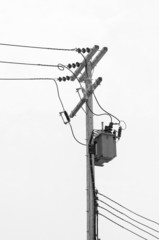 Obraz premium Black and white, Transformer on electric post