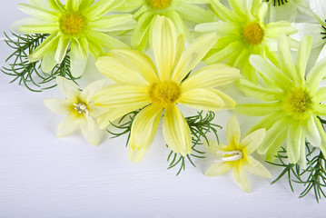 Flowers on a light background