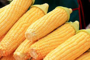 Sweet corn in the market