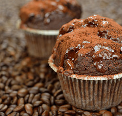 Chocolate cupcakes