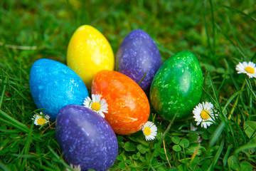 Easter eggs in the meadow