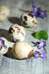 Obraz premium Easter composition with violets flowers in egg shells
