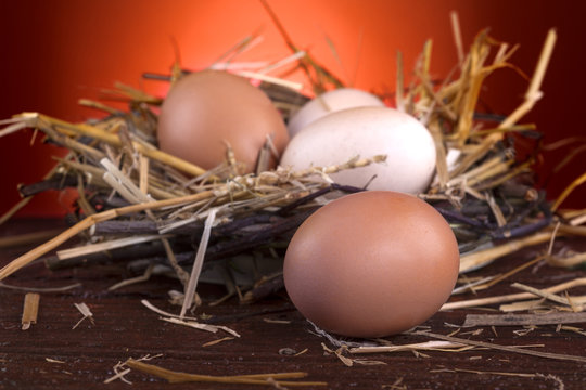 Healthy domestic eggs in a nest of straw