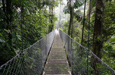 Suspended Bridge at La Fortuna © jlazouphoto