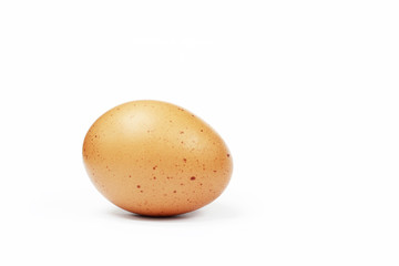 egg isolated on white background