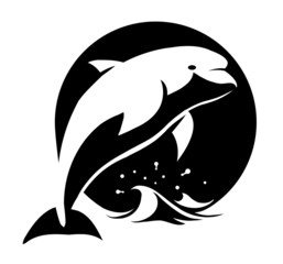 dolphin