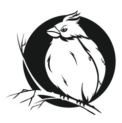 bird on branch