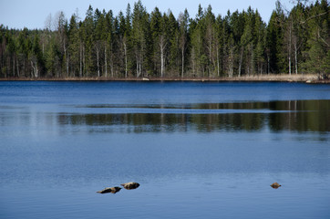 Blue forest lake