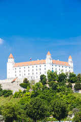Fototapeta na wymiar Bratislava Castle, Slovakia