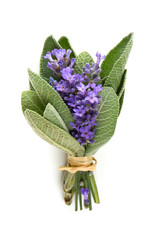 Naklejka premium lavender and sage isolated on white