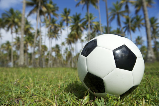 Football Soccer Ball Brazilian Palm Trees Grass