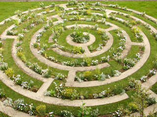Naklejka premium labyrinthe fleur