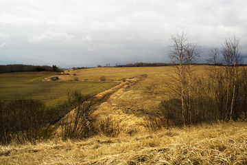 Fototapeta premium Spring landscape. Eastern Europe.