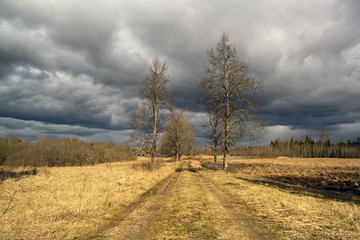 Spring landscape. Eastern Europe.