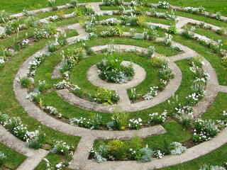 labyrinthe fleur