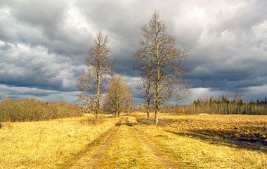 Fototapeta premium Spring landscape. Eastern Europe.HDR