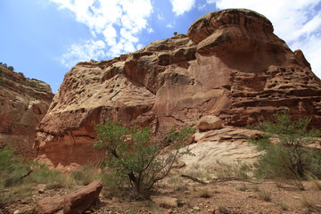 capitol Reef, Utah