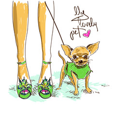 legs of fashion girl and little chihuahua