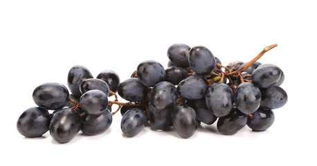 Branch of ripe black grapes.