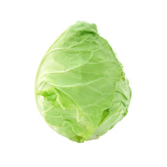 An image of a head of fresh cabbage