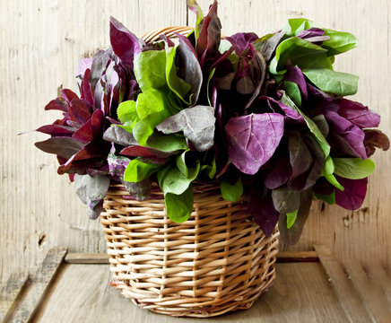 Orach Basket