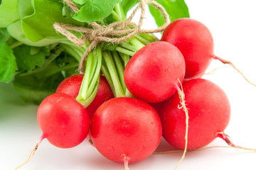 A bunch of fresh radishes on white